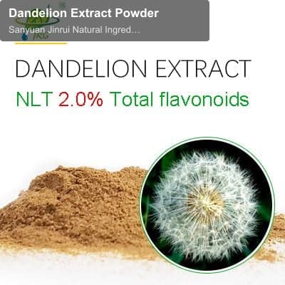 Dandelion Extract Powder
