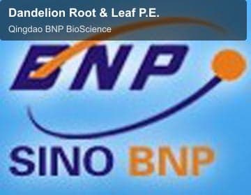 Dandelion Root & Leaf P.E.