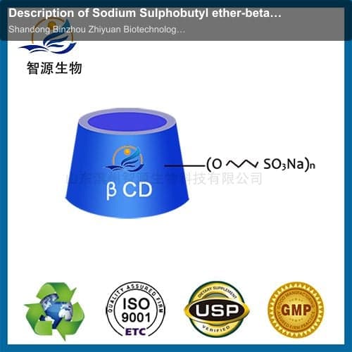 Description of Sodium Sulphobutyl ether-beta-cyclodextrin