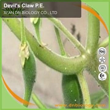 Devil's Claw P.E.