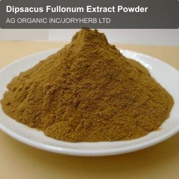 Dipsacus Fullonum Extract Powder