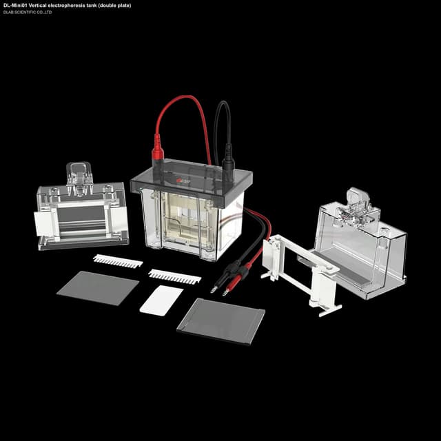 DL-Mini01 Vertical electrophoresis tank (double plate)
