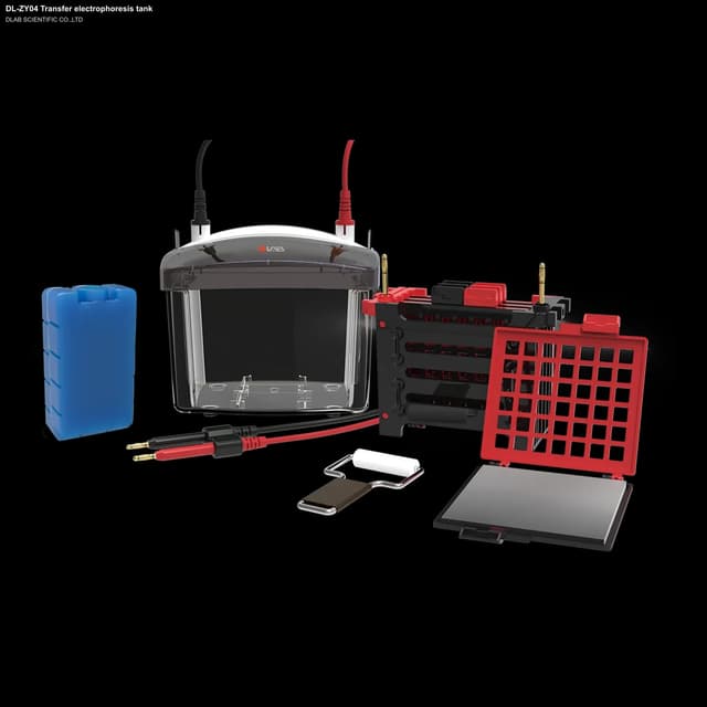 DL-ZY04 Transfer electrophoresis tank