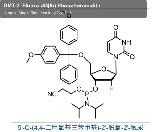 DMT-2'-Fluoro-dG(Ib) Phosphoramidite