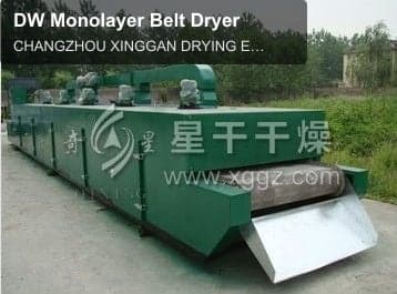 DW Monolayer Belt Dryer