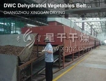 DWC Dehydrated Vegetables Belt Dryer