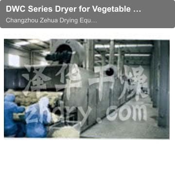 DWC Series Dryer for Vegetable Dehydration