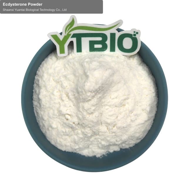 Ecdysterone Powder