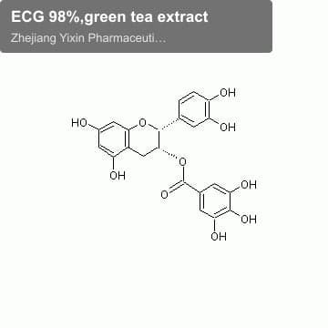 ECG 98%,green tea extract