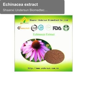 Echinacea extract