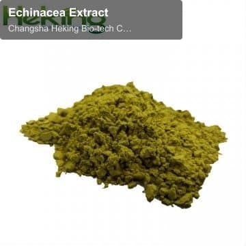 Echinacea Extract