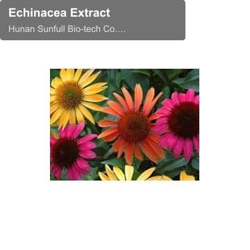 Echinacea Extract