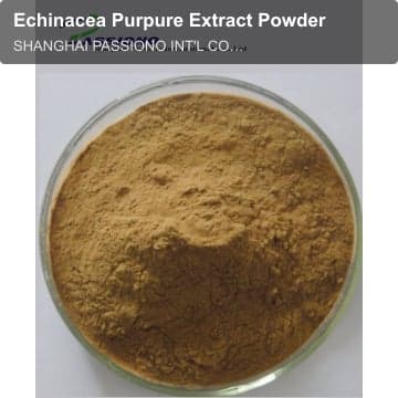 Echinacea Purpure Extract Powder