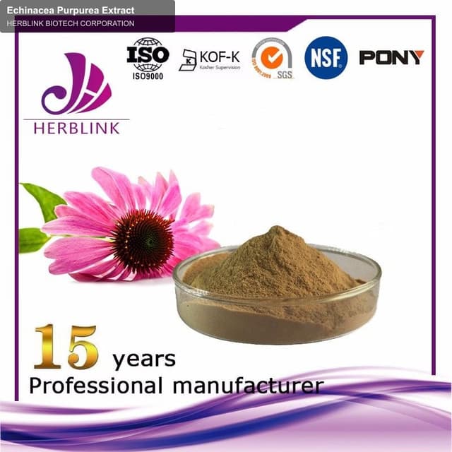 Echinacea Purpurea Extract