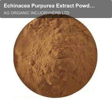 Echinacea Purpurea Extract Powder UV 4%