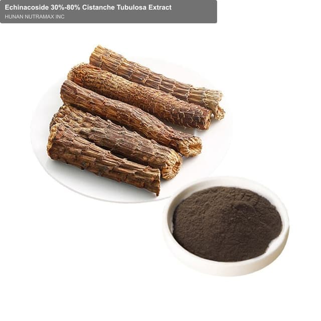 Echinacoside 30%-80% Cistanche Tubulosa Extract