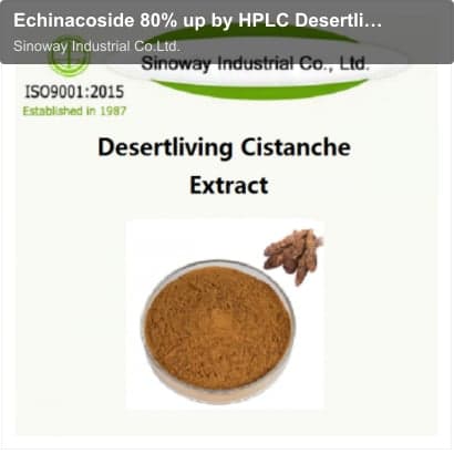 Echinacoside 80% up by HPLC Desertliving Cistanche Extract