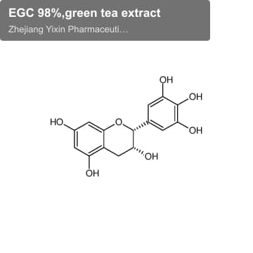 EGC 98%,green tea extract