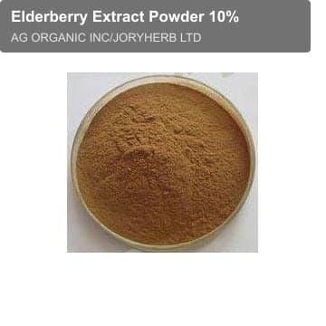 Elderberry Extract Powder 10%