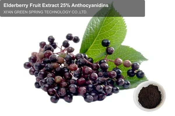 Elderberry Fruit Extract 25% Anthocyanidins