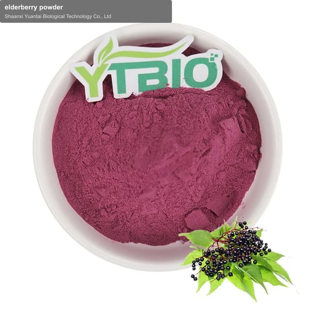 elderberry powder