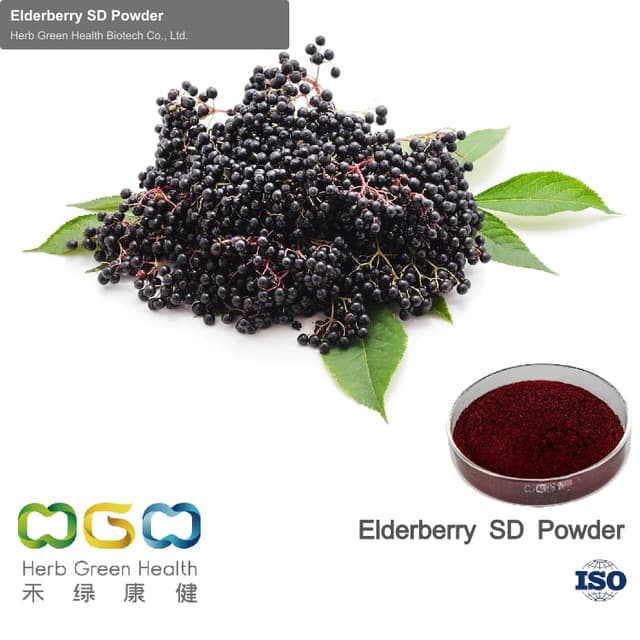 Elderberry SD Powder