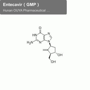 Entecavir（GMP）