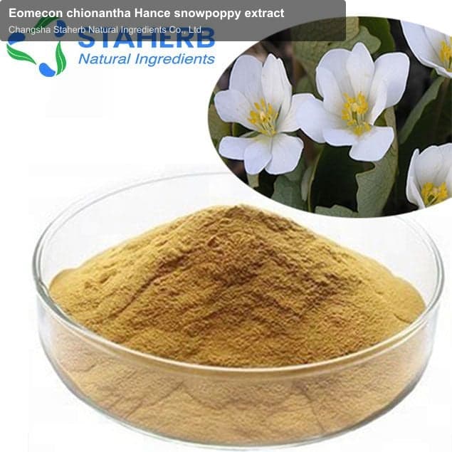Eomecon chionantha Hance snowpoppy extract