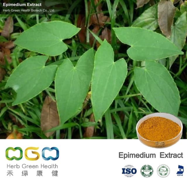 Epimedium Extract