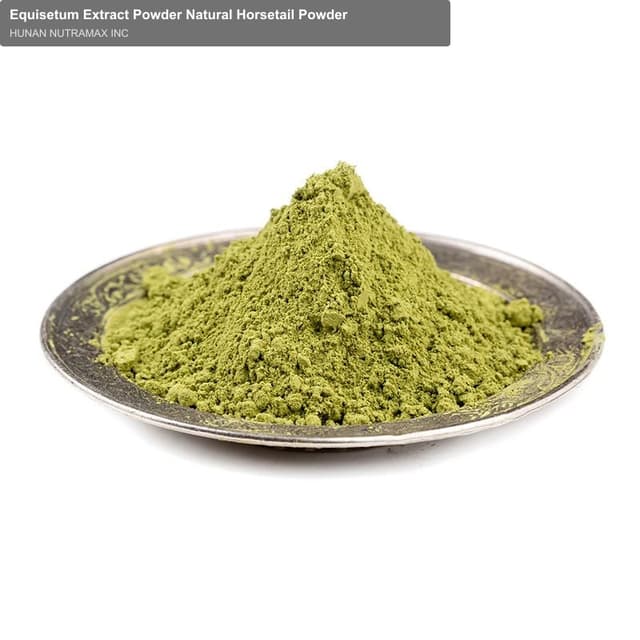 Equisetum Extract Powder Natural Horsetail Powder