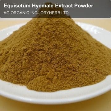 Equisetum Hyemale Extract Powder