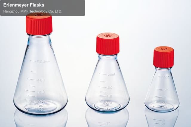 Erlenmeyer Flasks