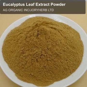 Eucalyptus Leaf Extract Powder