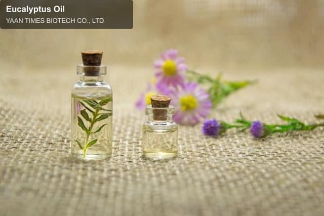 Eucalyptus Oil