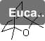 Eucalyptus oil