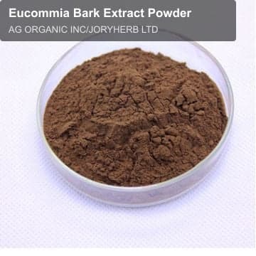 Eucommia Bark Extract Powder