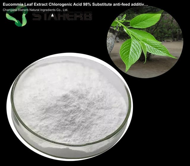 Eucommia Leaf Extract Chlorogenic Acid 98% Substitute anti-feed additives
