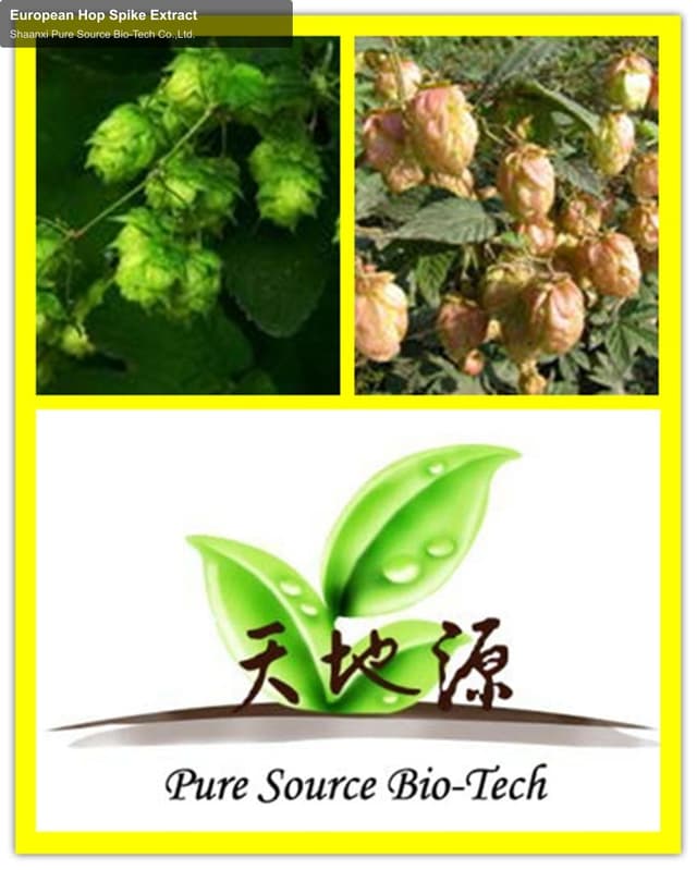 European Hop Spike Extract