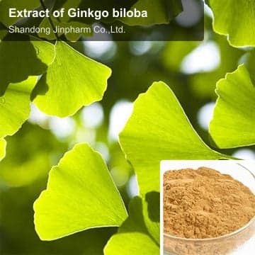 Extract of Ginkgo biloba