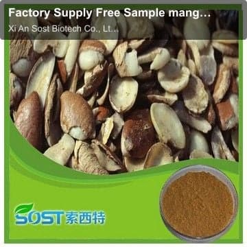 Factory Supply Free Sample mango seed powder