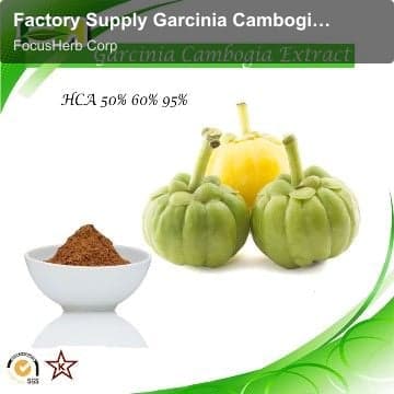 Factory Supply Garcinia Cambogia Extract