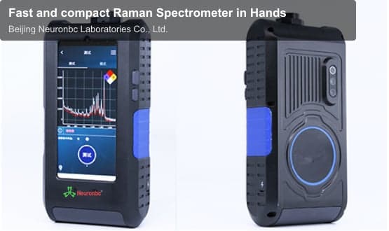 Fast and compact Raman Spectrometer in Hands