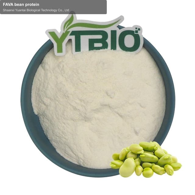 FAVA bean protein