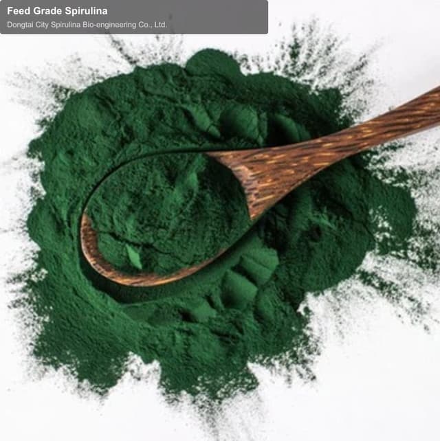 Feed Grade Spirulina