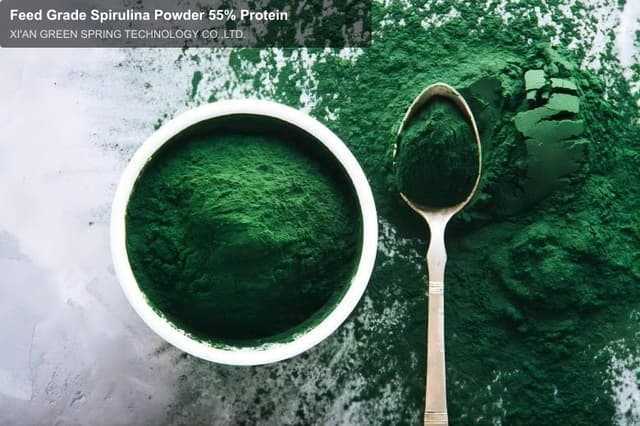 Feed Grade Spirulina Powder 55% Protein