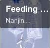 Feeding Bag