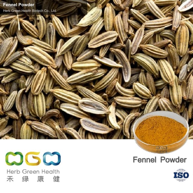 Fennel Powder