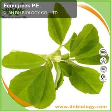 Fenugreek P.E.