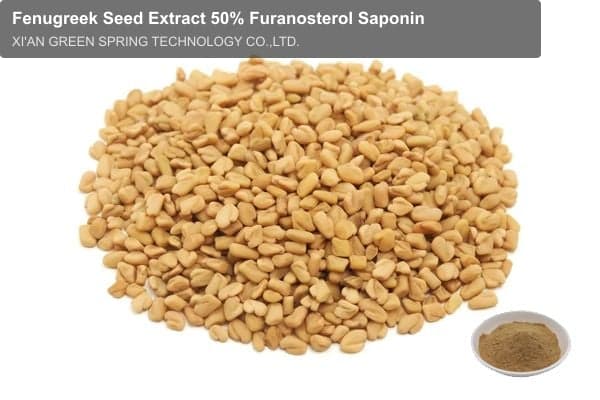 Fenugreek Seed Extract 50% Furanosterol Saponin