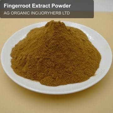 Fingerroot Extract Powder